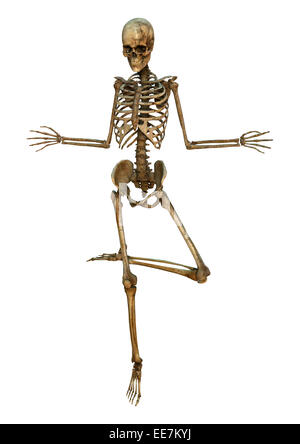 Numérique 3D render of a human skeleton danse isolé sur fond blanc Banque D'Images