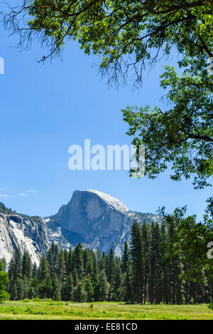 Half Dome, Yosemite Valley, Yosemite National Park, la Sierra Nevada, la Californie du Nord, USA Banque D'Images