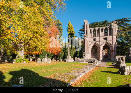 Couleurs d'automne Abbaye de Dryburgh Dryburgh Ecosse Scottish Borders Banque D'Images