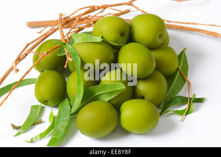 Pile d'olives vertes avec des brindilles et des feuilles Banque D'Images