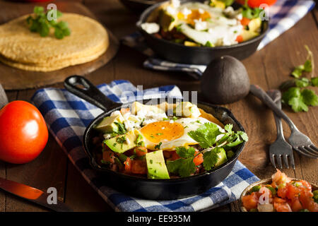 Des Heuvos Rancheros avec de l'avocat et à la coriandre Banque D'Images