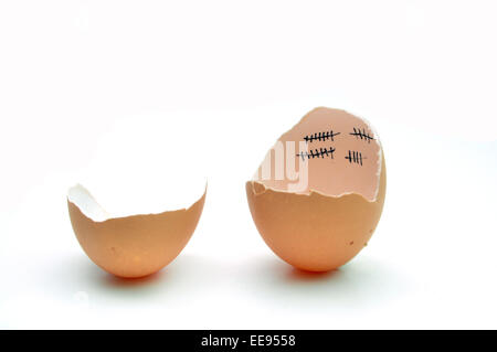 Oiseau poule bébé poulet patience marques sur coquille d'over white Banque D'Images