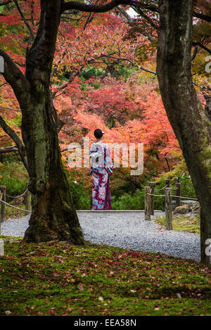 Femme en costume traditionnel japonais visitant la les feuilles d'automne au Temple Tōfuku-ji à Kyoto, au Japon. Banque D'Images