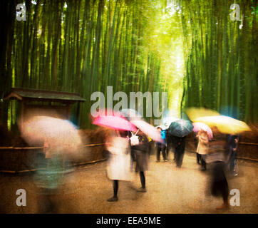 L'image artistique d'un jour humide dans les bosquets de bambous d'Arashiyama, Kyoto, Japon. Banque D'Images