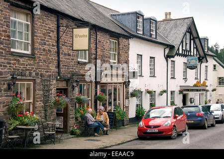 Dulverton et d'Exmoor notamment un groupe de poneys Exmoor, Devonshire, UK Banque D'Images