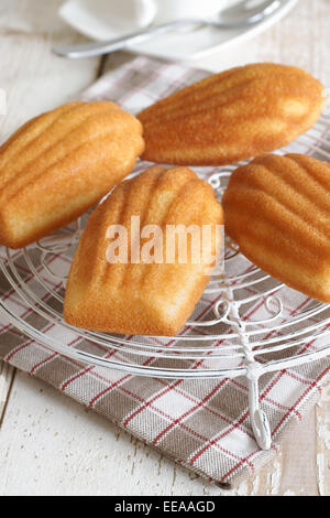 Madeleines ou petite madeleine un gâteau traditionnel de la région Lorraine, de la France Banque D'Images