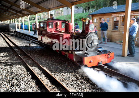 Regarder les passagers comme le conducteur utilise ses injecteurs pour inverser son 15-Inch narrow gauge steam locomotive 'Marche Timothy" à cause d'Aylsham terminus qui n'est pas autour de son train sur le Bure Valley Railway entre Aylsham et Wroxham, près de Norwich, Norfolk. Banque D'Images