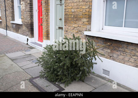 Arbre de Noël à l'extérieur pendant le les collecteurs à emporter, Londres, Royaume-Uni. Un site commun partout au Royaume-Uni et en particulier dans les villes, où les arbres sont souvent juste à gauche sur la chaussée dans l'Après lendemain de Noël. Banque D'Images