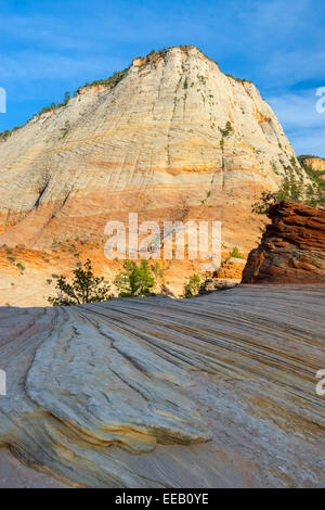 Checkerboard Mesa est situé juste à l'Est de l'Zion National Park, Utah, USA Banque D'Images