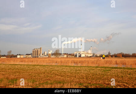 Une vue de l'Hardley marais pour les British Sugar Factory à Cantley, Norfolk, Angleterre, Royaume-Uni. Banque D'Images