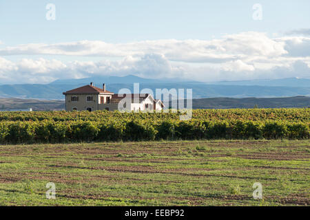 Un Bogeda situé dans un vignoble de La Rioja Espagne Banque D'Images