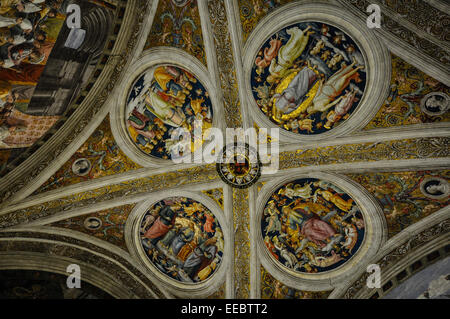 Peintures au musée du Vatican, les Chambres de Raphaël Banque D'Images