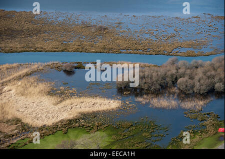 Terres humides inondées au bord d'une rivière dans le Lake District, en Angleterre. Banque D'Images