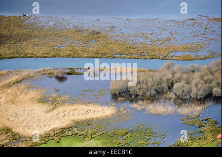 Terres humides inondées au bord d'une rivière dans le Lake District, en Angleterre. Banque D'Images