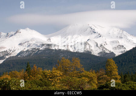 Ciel bleu, neige clad & light nuée couvrait le Mont Shasta avec forêt de trembles et de premier plan dans le comté de Siskiyou California USA Banque D'Images