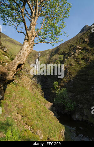 Queue de la jument grise chute près de Moffat, Dumfries & Galloway, Scotland. Banque D'Images