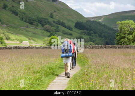 Young male backpackers sur le Pennine Way près de Muker, Yorkshire Dales National Park, North Yorkshire, England, UK Banque D'Images