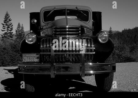 Immaculée 1950 sépia argent Chevrolet pick up truck avec couronne de Noël sur l'aile, le Mont Shasta et séquoias Banque D'Images