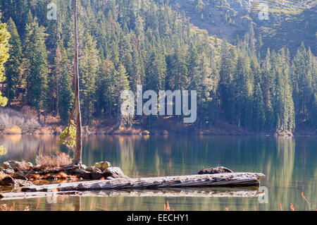 Lac Castle qui est un lac glaciaire ou tarn situé dans le nord de la Californie le long de la bordure est de la Klamath Mountains Banque D'Images