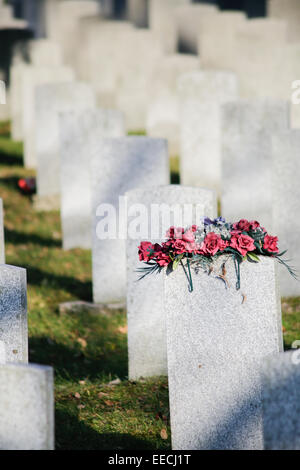 Des fleurs sur une pierre tombale du Soldat Banque D'Images