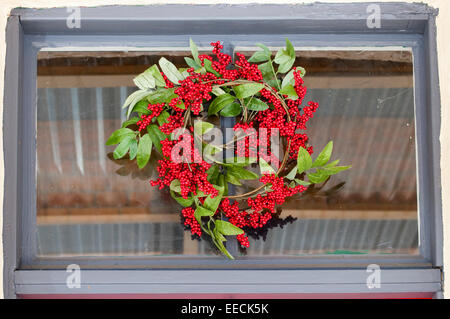 Couronne de Noël, rural Victoria, Australie Banque D'Images