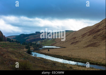 River court le long d'une vallée de la montagne Brecon Beacons au Pays de Galles, Royaume-Uni Banque D'Images