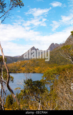 Lilla le lac et le parc national de Cradle Mountain, en Tasmanie, Australie Banque D'Images