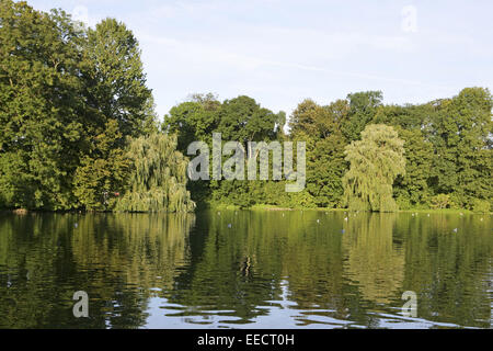 Baeume, Baum, Bayern, Bäume, Deutschland, Englischer Garten, Europa,,, Gewaesser Gewässer, Kleinhesseloher, Kneipe, Landschaft, Banque D'Images