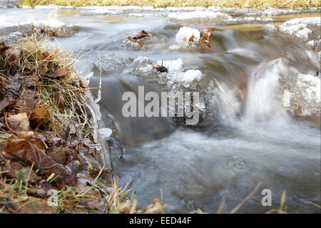 Europa, Slovaquie, Vysok" Tatry, Hohe Tatra, Slovaquie, République Slovaque, Natur, vereist, Détail, Bach, Gewaesser, Gewässer, e Banque D'Images