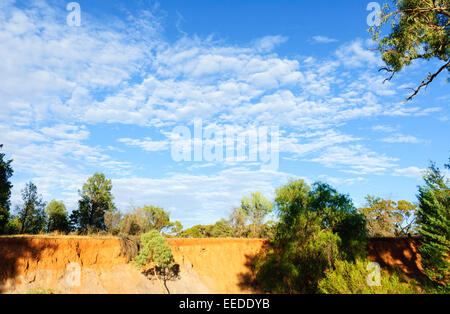 Eroded Creek Bank, Alpana, Flinders Ranges, Australie Méridionale, Australie Banque D'Images