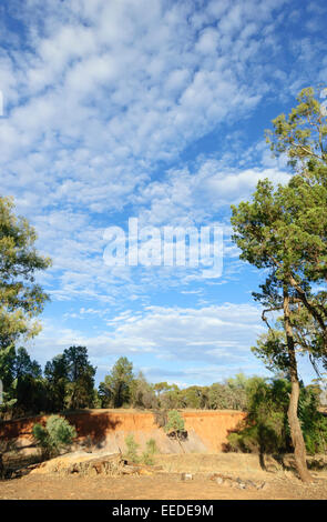 Eroded Creek Bank, Alpana, Flinders Ranges, Australie Méridionale, Australie Banque D'Images