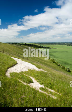 Royaume-uni, Angleterre, dans le Wiltshire, Pewsey, 1935 cheval blanc, créé pour célébrer le couronnement de George VI Banque D'Images