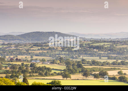 La vue sur la vallée de Blackmore de Hambledon Hill dans le Dorset. Banque D'Images