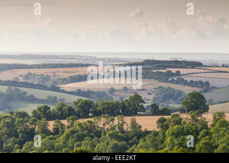 La vue sur la vallée de Blackmore de Hambledon Hill dans le Dorset. Banque D'Images
