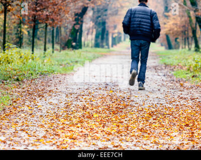 Un jeune adulte homme marcher dans une rue étroite couverte par les feuilles rouge et jaune Banque D'Images