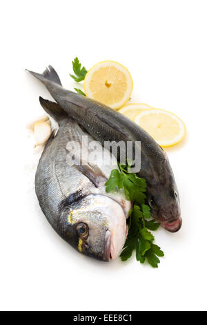 Le poisson frais avec le citron et le persil. Banque D'Images