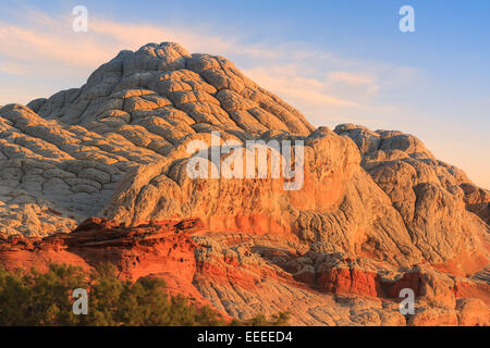 Dans les formations de roche poche blanc qui fait partie de la Vermilion Cliffs National Monument. Banque D'Images