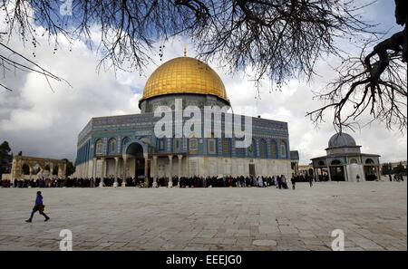 Jérusalem, Jérusalem, territoire palestinien. 16 janvier, 2015. Fidèles palestiniens prendre part à la prière du vendredi à l'extérieur du Dôme du Rocher à la mosquée Al-Aqsa, dans la vieille ville de Jérusalem, le 16 janvier 2015 © Muammar Awad/APA/Images/fil ZUMA Alamy Live News Banque D'Images