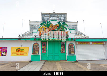 Great Yarmouth Pleasure Beach et Pier Banque D'Images