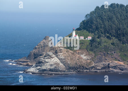 Vue sur la côte du Pacifique de l'État Heceta Head Belvédère dans l'Oregon, USA Banque D'Images