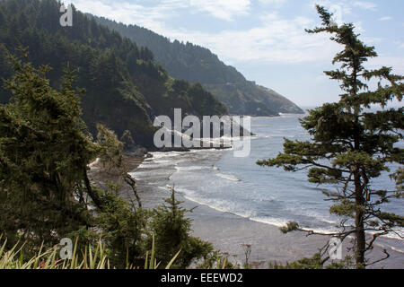 Vue de la côte du Pacifique près de l'État Heceta Head Belvédère dans l'Oregon, USA Banque D'Images