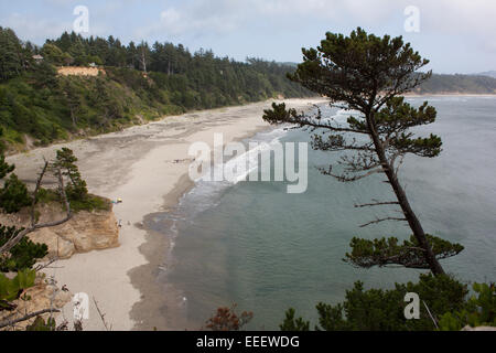 Vue sur la plage de sable sur la côte de l'Oregon Banque D'Images