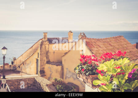 Selective focus sur les fleurs rouges en italien vieux village sur la mer. Traitées avec des croix (retro vintage) Effet du film. Banque D'Images