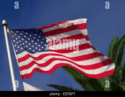 Drapeau des États-Unis Stars and Stripes volant dans la brise avec des frondes de palmiers derrière dans un soleil chaud Banque D'Images