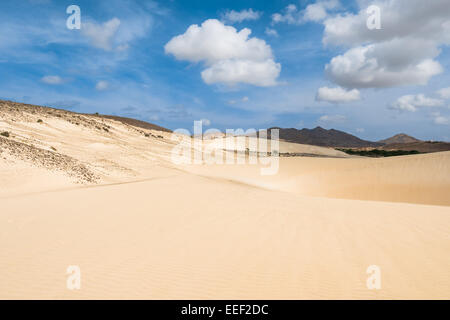Dunes de sable dans le désert de Viana - Deserto de Viana dans Boavista - Cap-Vert - Cabo Verde Banque D'Images
