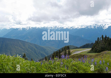 Montagnes pittoresques Banque D'Images