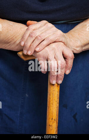 Gros plan du senior woman's hands sur bâton de marche en bois Banque D'Images