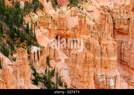 Vue sur les cheminées et autres formations de roche calcaire de Rainbow Point salon à Bryce Canyon National Park, Utah, USA en juillet Banque D'Images