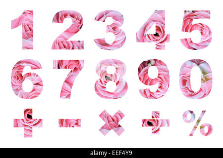Un à zéro des chiffres et symboles mathématiques de base faite de fleur rose photo Banque D'Images
