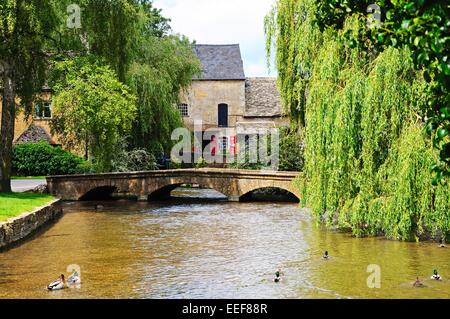 Passerelle en pierre de l'autre côté de la rivière Windrush dans le centre du village, Bourton On The Water, Gloucestershire, Angleterre, Royaume-Uni, Europe. Banque D'Images
